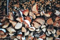 Brennholz Buche ca. 20 kg